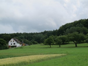 IMG_3074