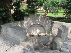 IMG_3196