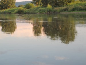 IMG_3281