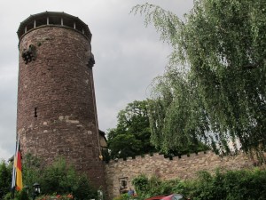 IMG_3297