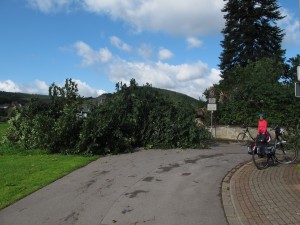 IMG_3788